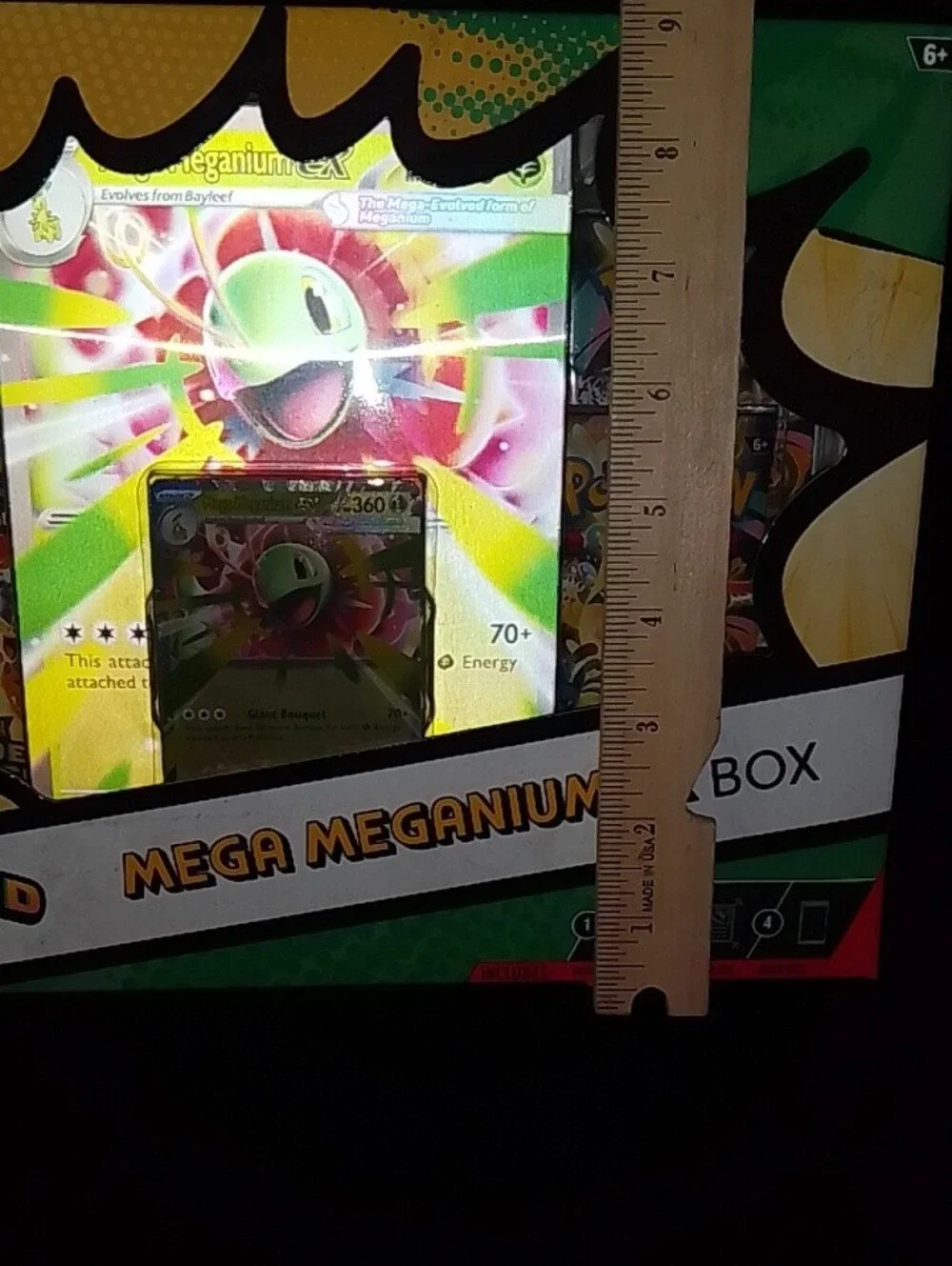 New Pokemon Meganium ex Box - Green